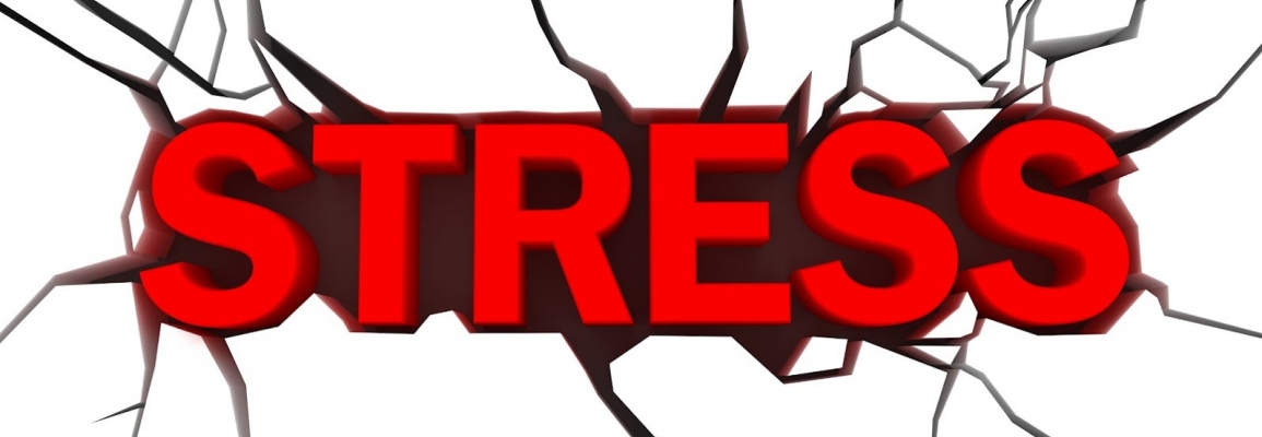 The word stress
